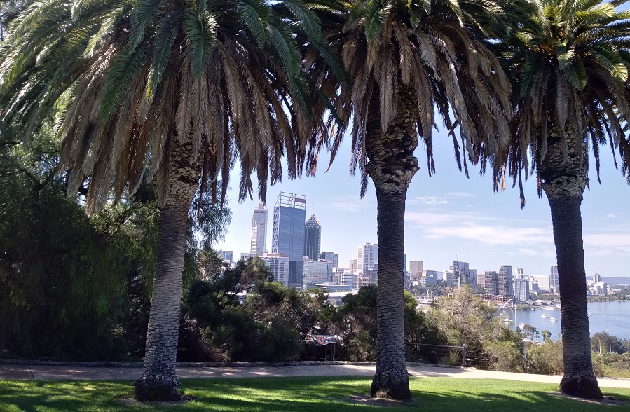 kings park